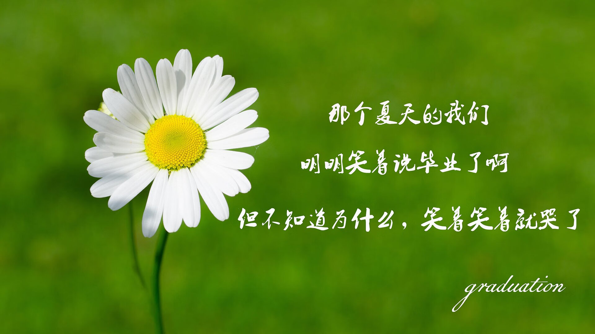当鹈鹕飞越湖人，一场欧冠半决赛的跨界启示