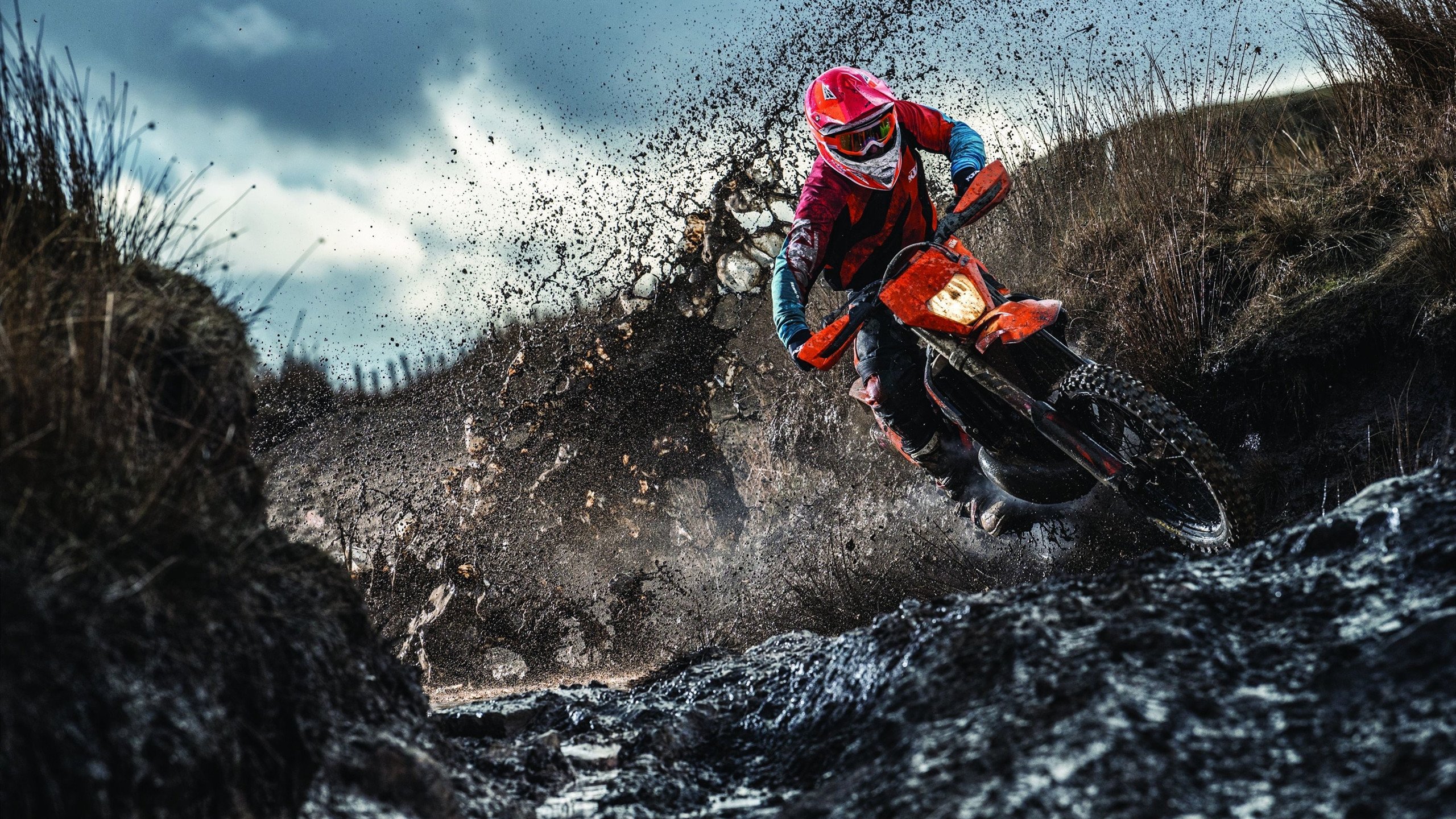 范弗利特单核破局,掘金体系全面压制森林狼